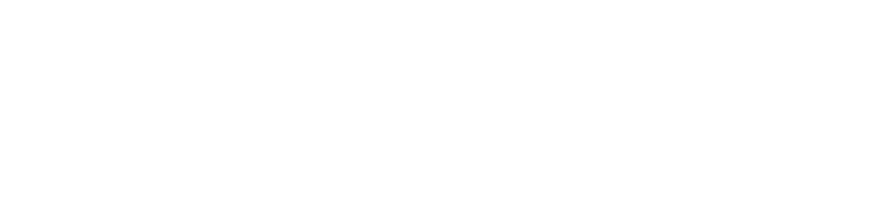 VALERI Digital Studio